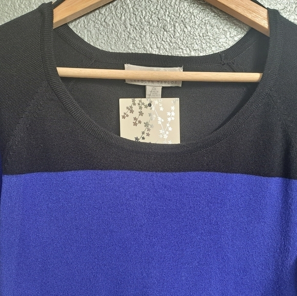 Carolyn Taylor Colorblock Raglan Sweater   Size XL - Picture 5 of 10